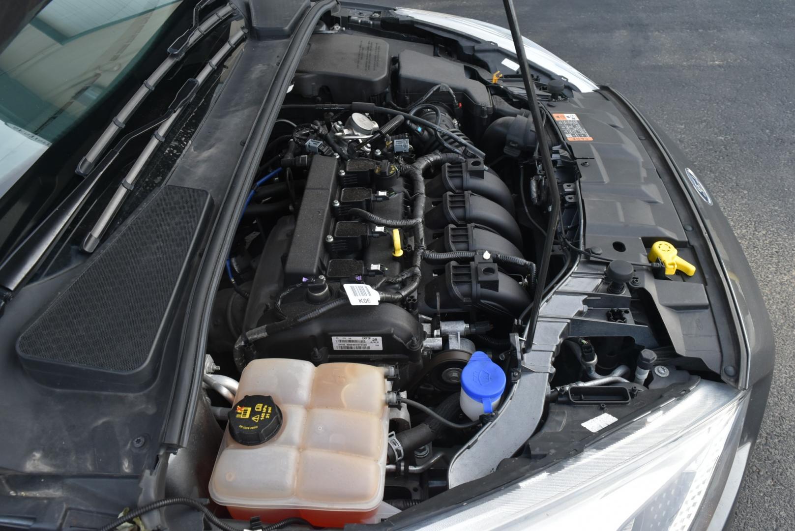 2016 Gray /Black Ford Focus SE (1FADP3F26GL) with an 2.0L I-4 GDI TI-VCT FLEX FUEL engine, 6-Speed Powershift Automatic transmission, located at 1600 E Hwy 44, Rapid City, SD, 57703, (605) 716-7878, 44.070232, -103.171410 - Photo#23